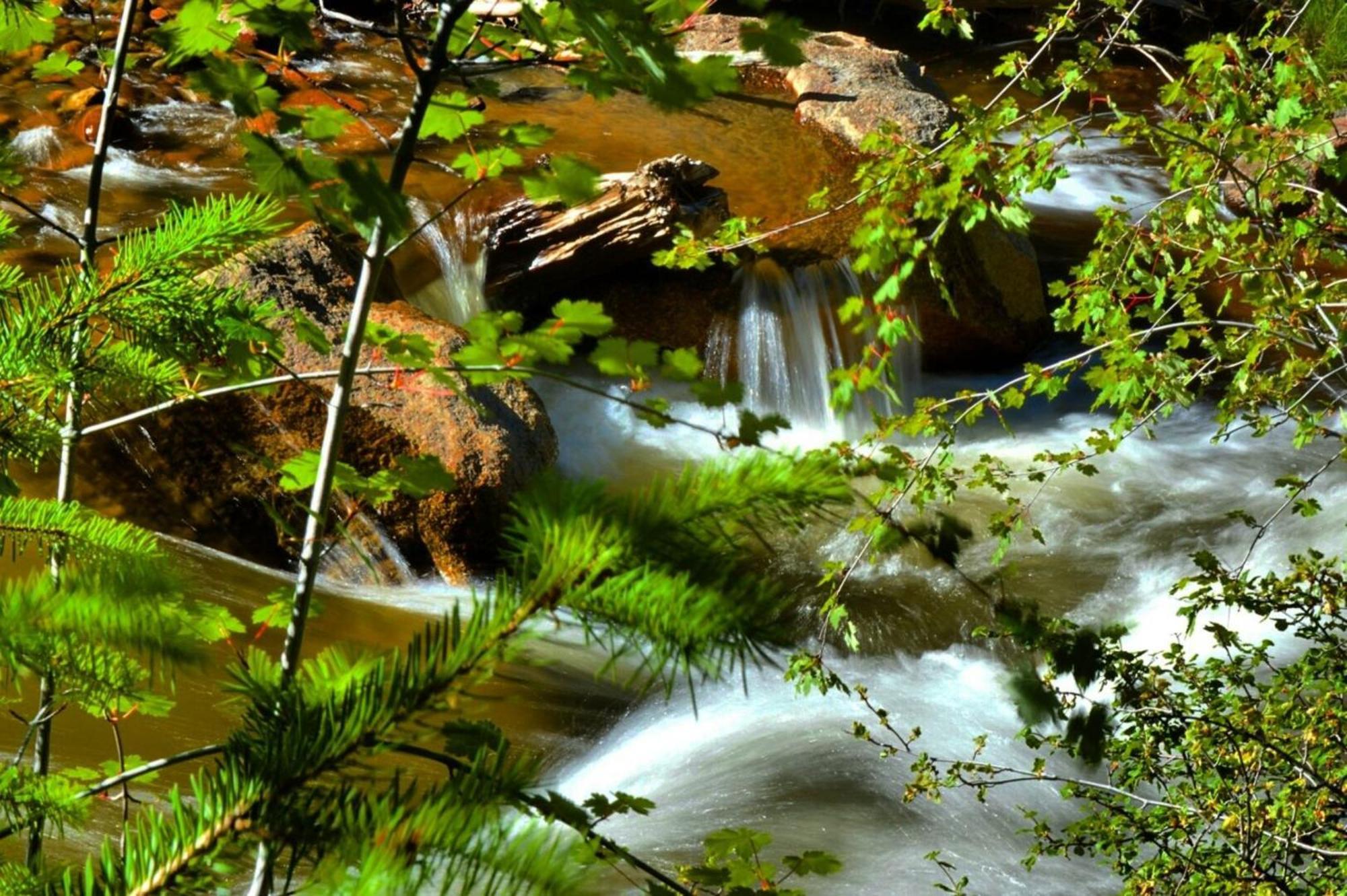 Stonebrook Resort - Adult Only เอสเทสพาร์ค ภายนอก รูปภาพ
